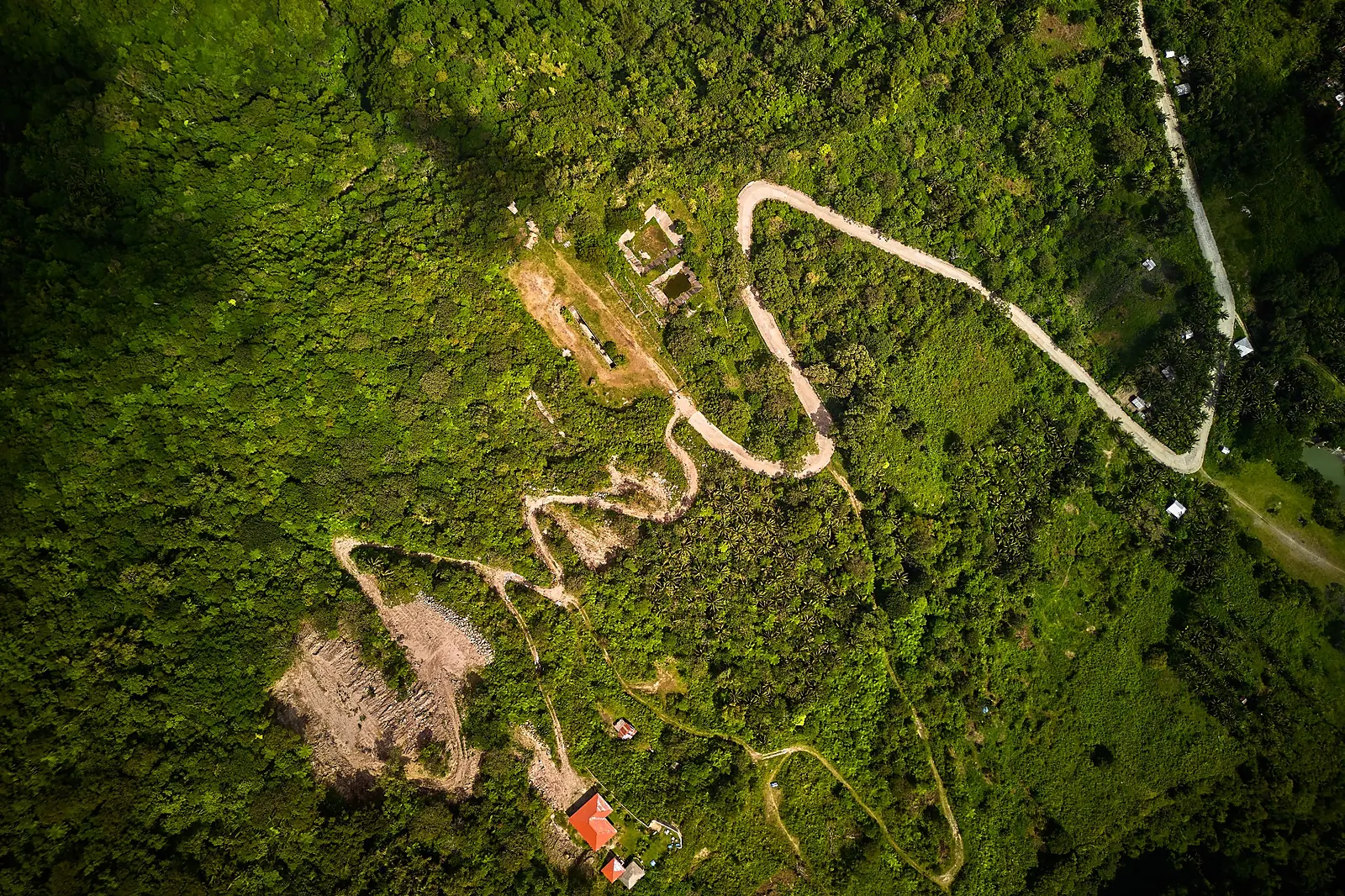 Overhead view of a winding road through green tropical forest