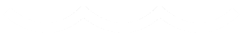 Cta Item Icon