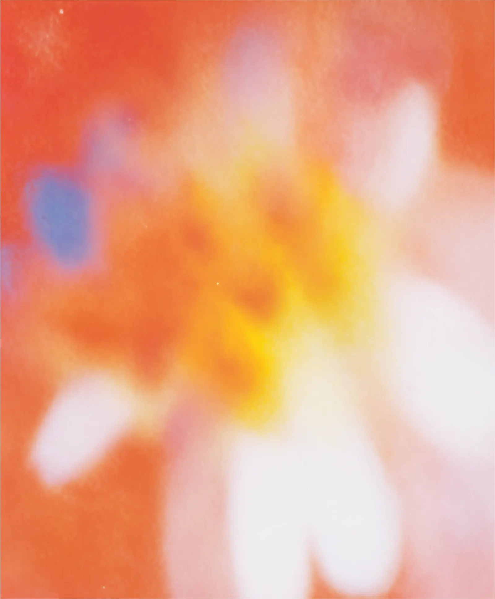 Abstract blurry image with warm orange background and soft white, yellow, blue, and pink shapes blending together resembling a flower.