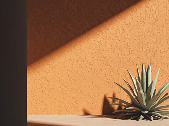 Mur ocre texturé baigné de lumière avec un agave, inspiration mexicaine
