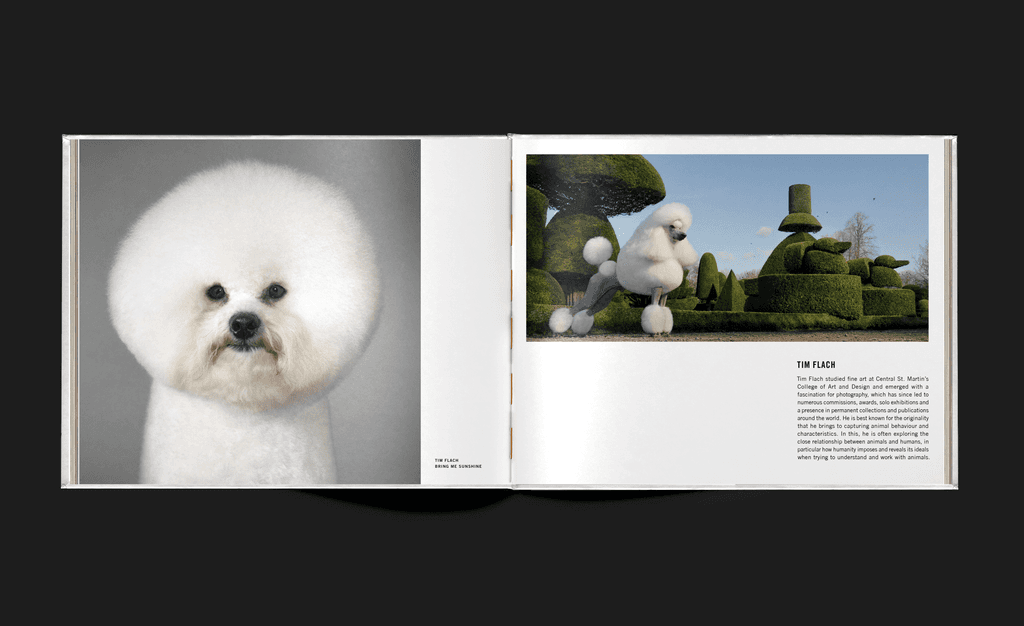 Spread from the Art at Lydmar photo book
