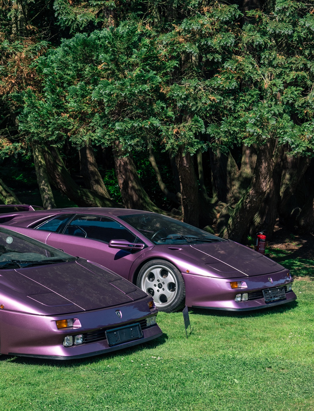 Two purple Lamborghini Diablos on the lawn at The Aurora