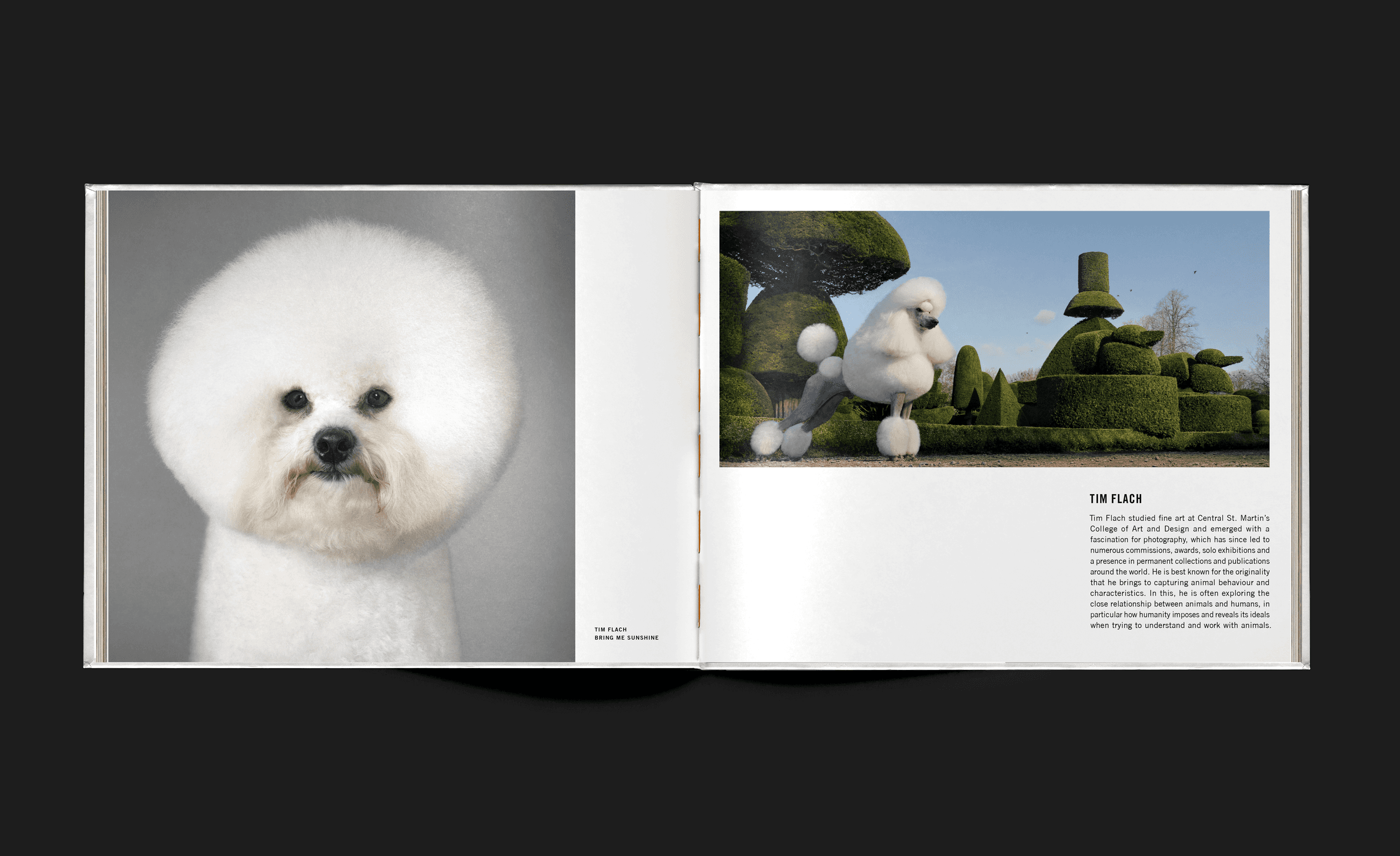 Spread from Art at Lydmar photo book