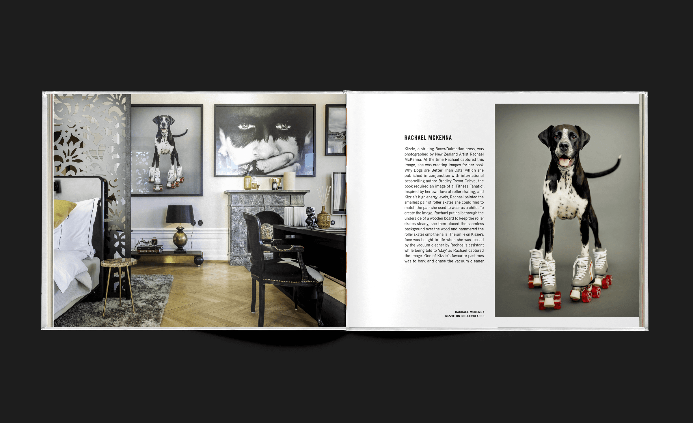 Spread from Art at Lydmar: a hotel room beside a portrait of a dog on roller skates