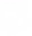 Icon of a shield with a checkmark and the words Security Audit above it, symbolizing protection and verification.