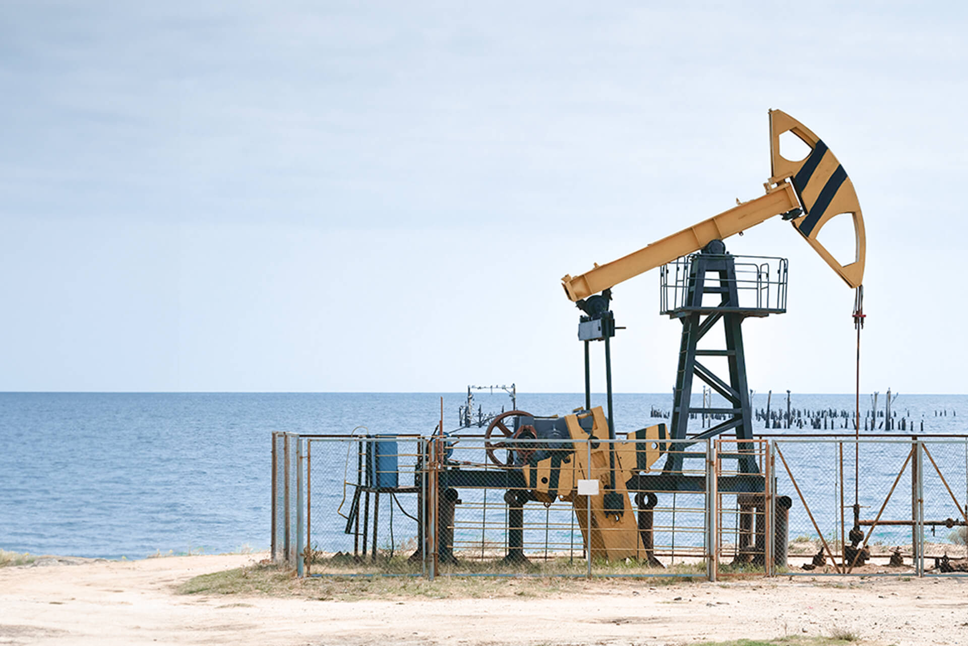 Pumpjacks at a producing oil field