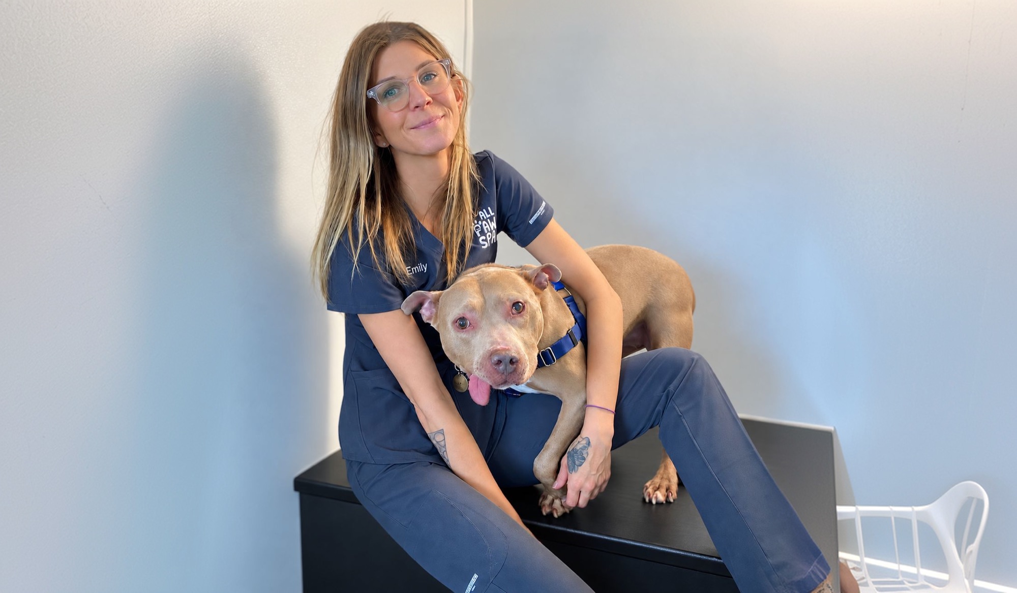 A woman wearing glasses and navy scrubs labeled with 'Emily' holds a tan dog with a blue harness on a black examination table against a plain light wall.