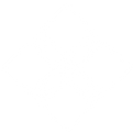 Abstract symmetrical flower-like geometric logo with four petal shapes.