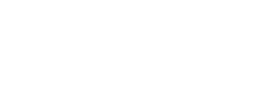 Insight Partners