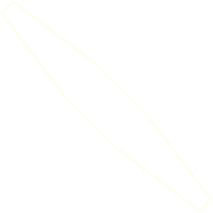 Line Shape Icon