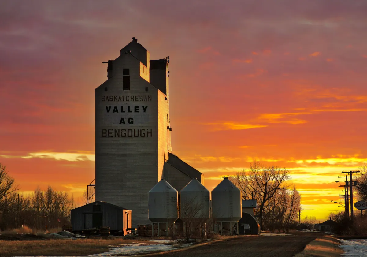 Grain elevator