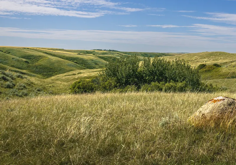 Harvard Media in Rural Saskatchewan