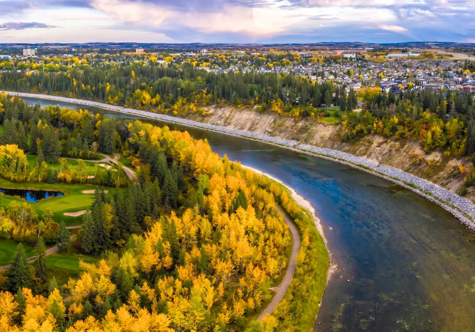 Autumn trees in Red Deer