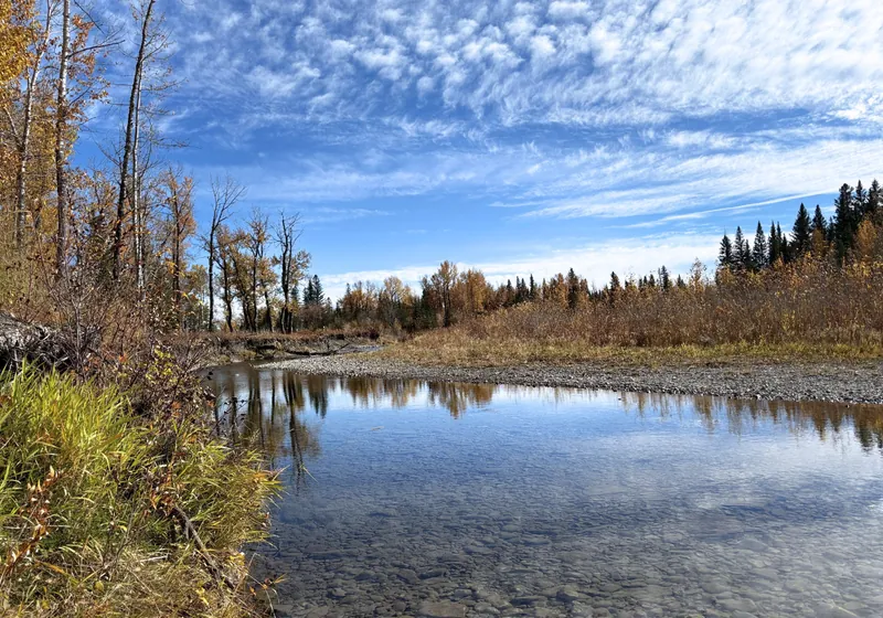 Harvard Media in Alberta