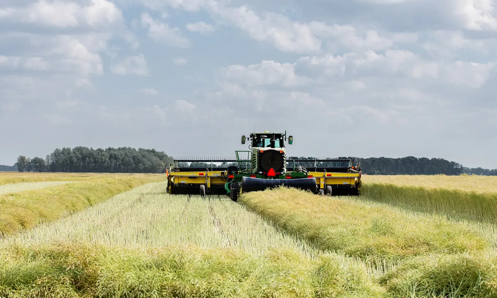 Swather cutting a crop on a Saskatchewan farm