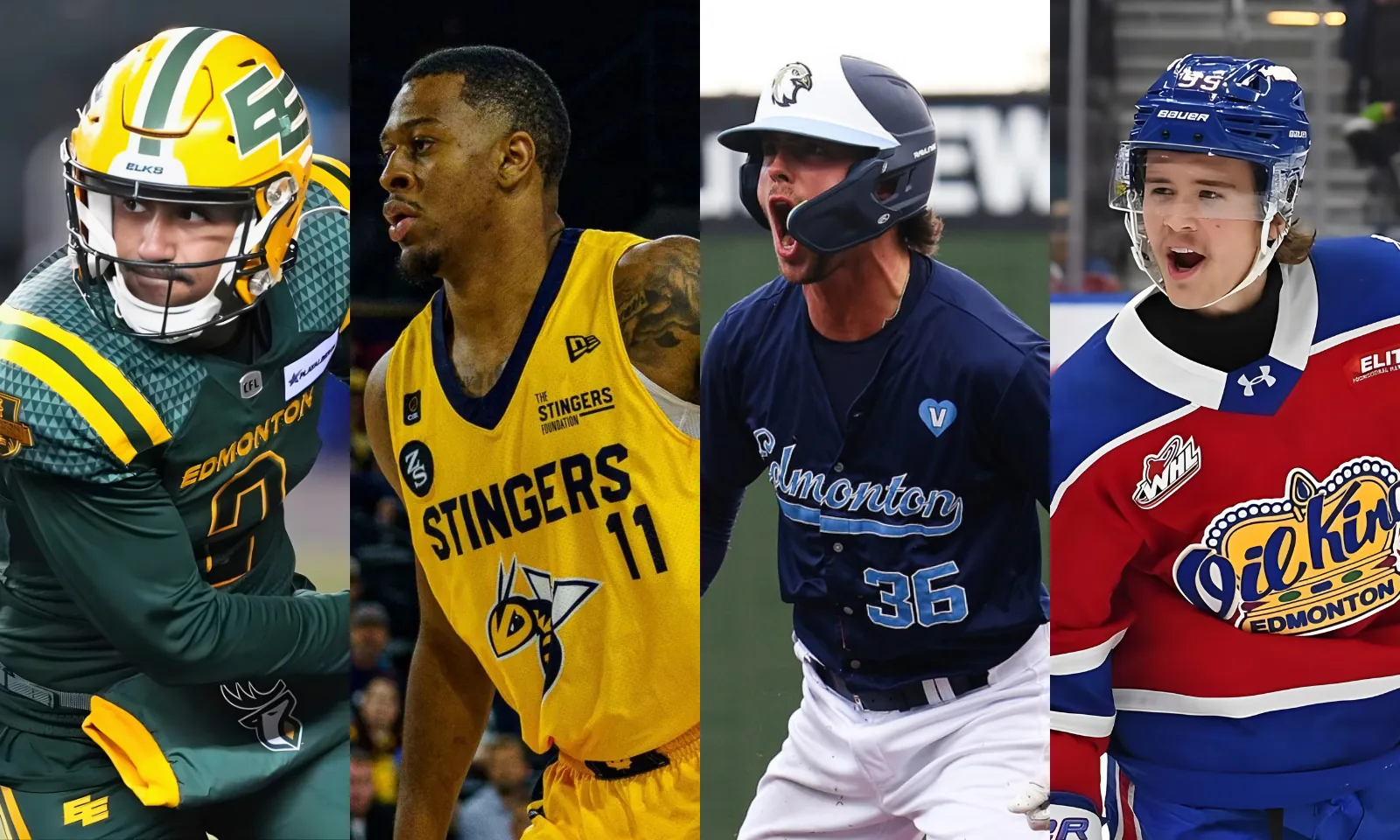 Edmonton Elks, Stingers, Riverhawks and Oil Kings players