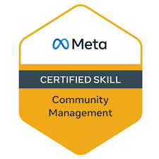 meta skill badge