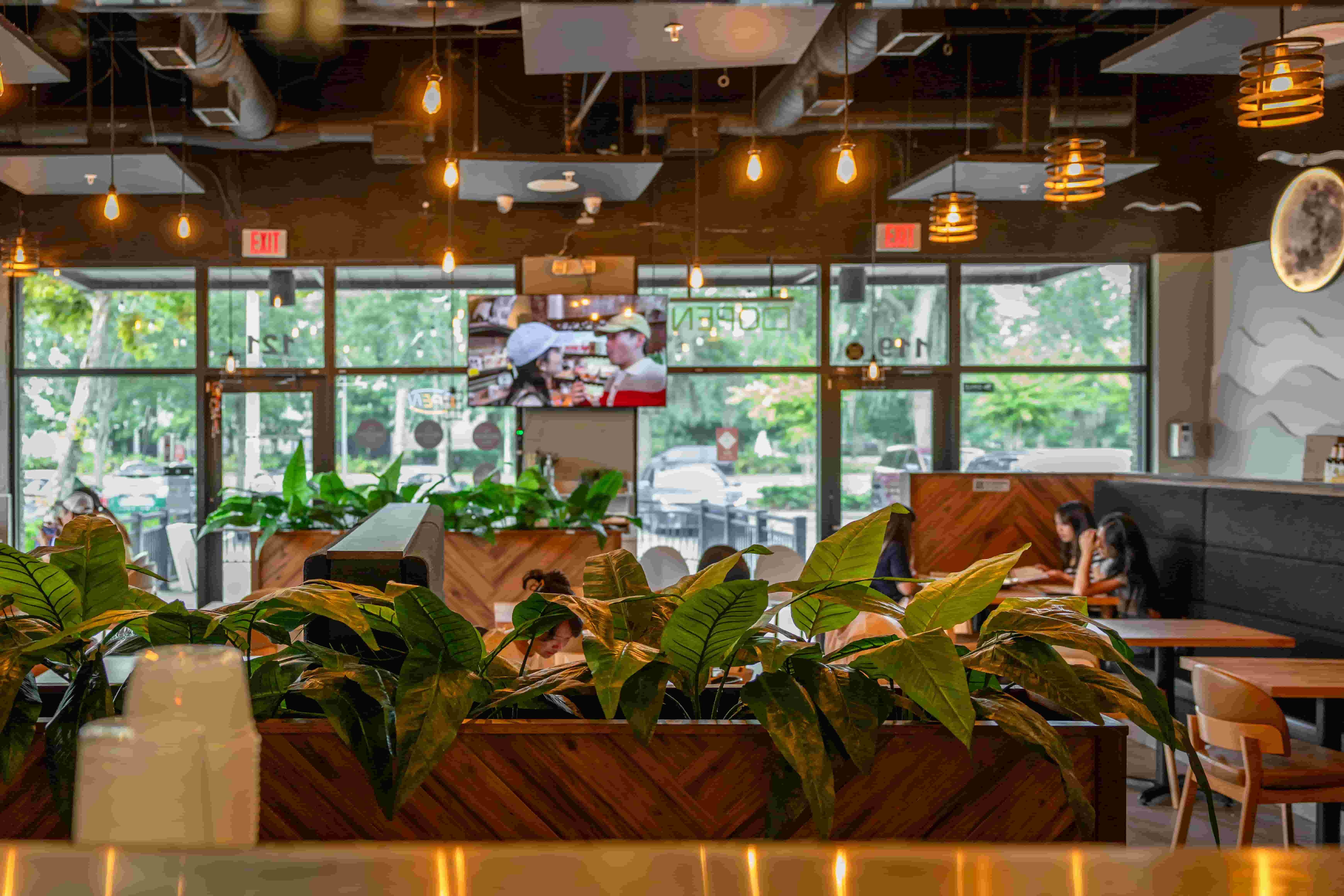 Dining room with leafy plants, hanging bulbs, wood panelling and large windows onto the street