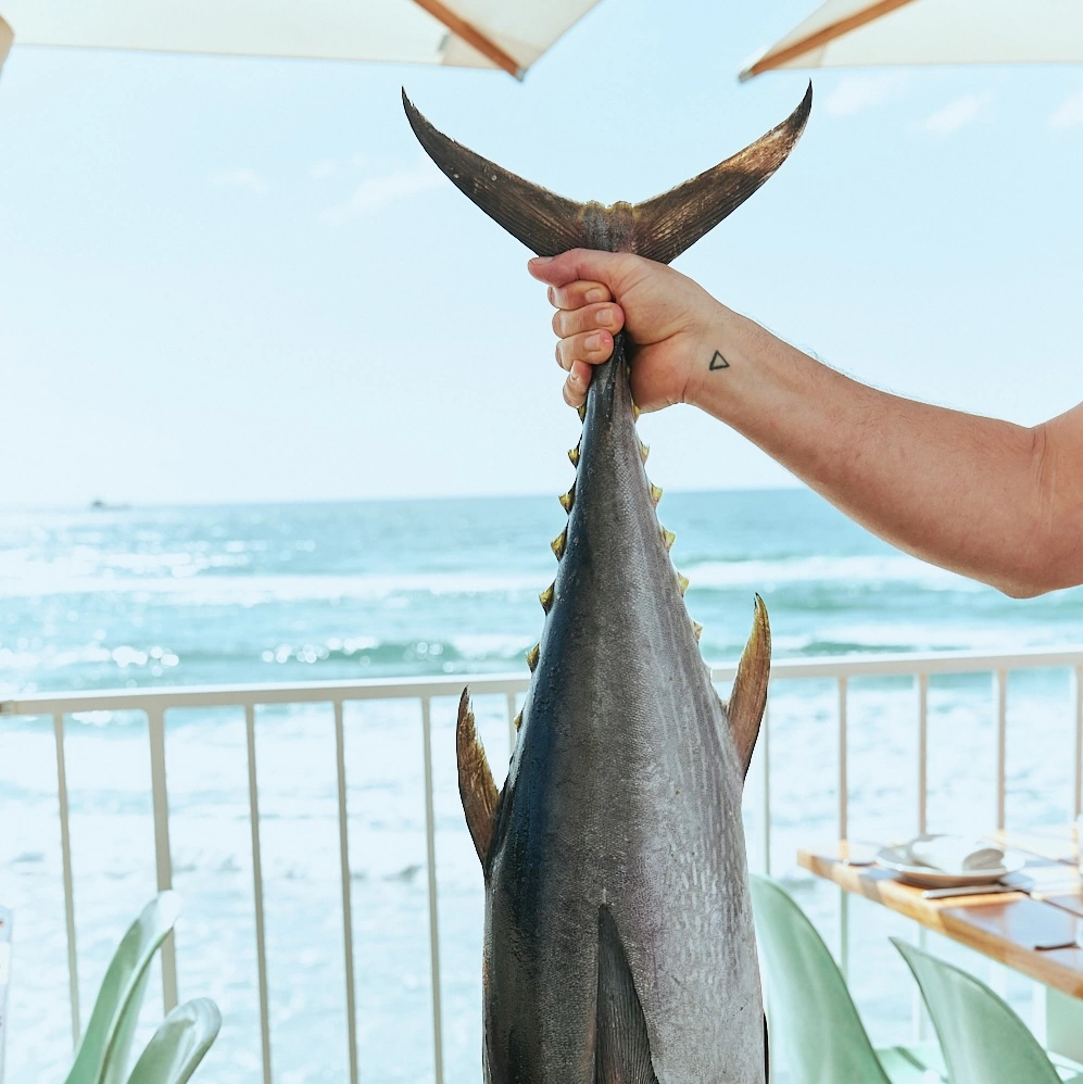 Fresh tuna held up by its tail on The Tropic terrace, with the ocean behind
