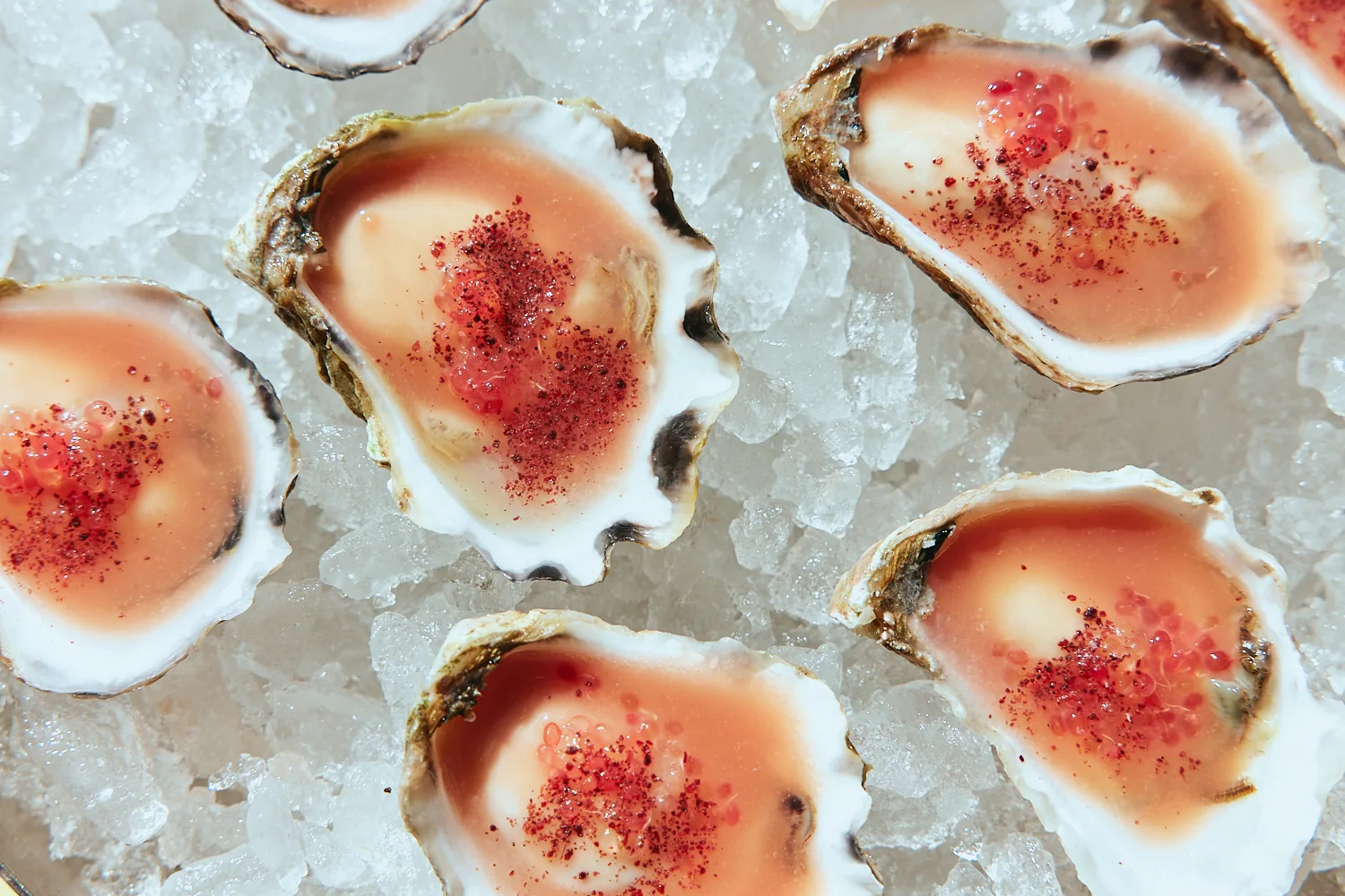 Freshly shucked oysters on crushed ice at The Tropic