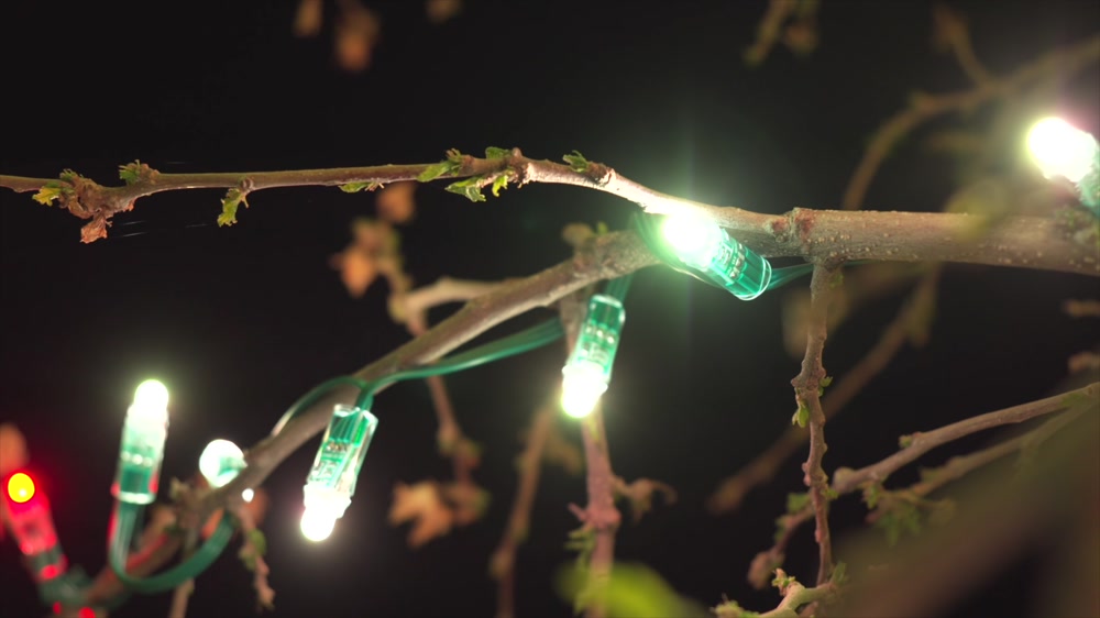 Close-up of red and green temporary lights on tree branches