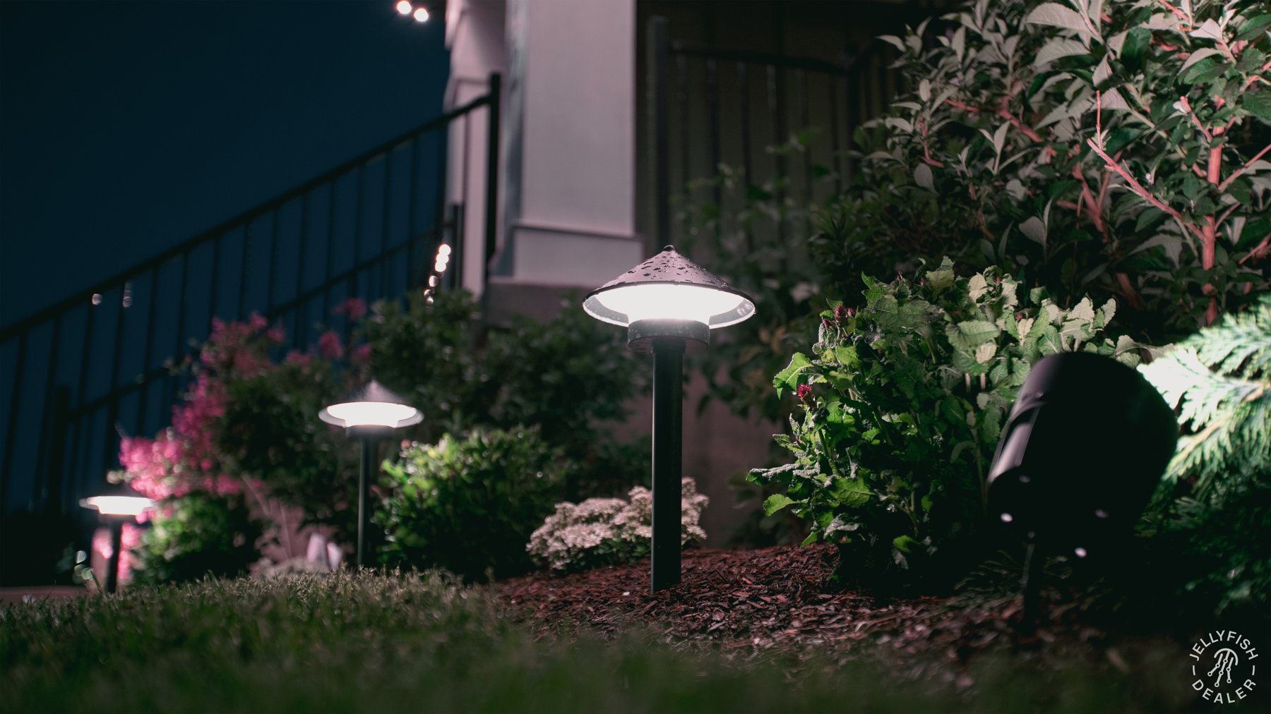 Three JellyFish pathway lights illuminating a planted garden bed.