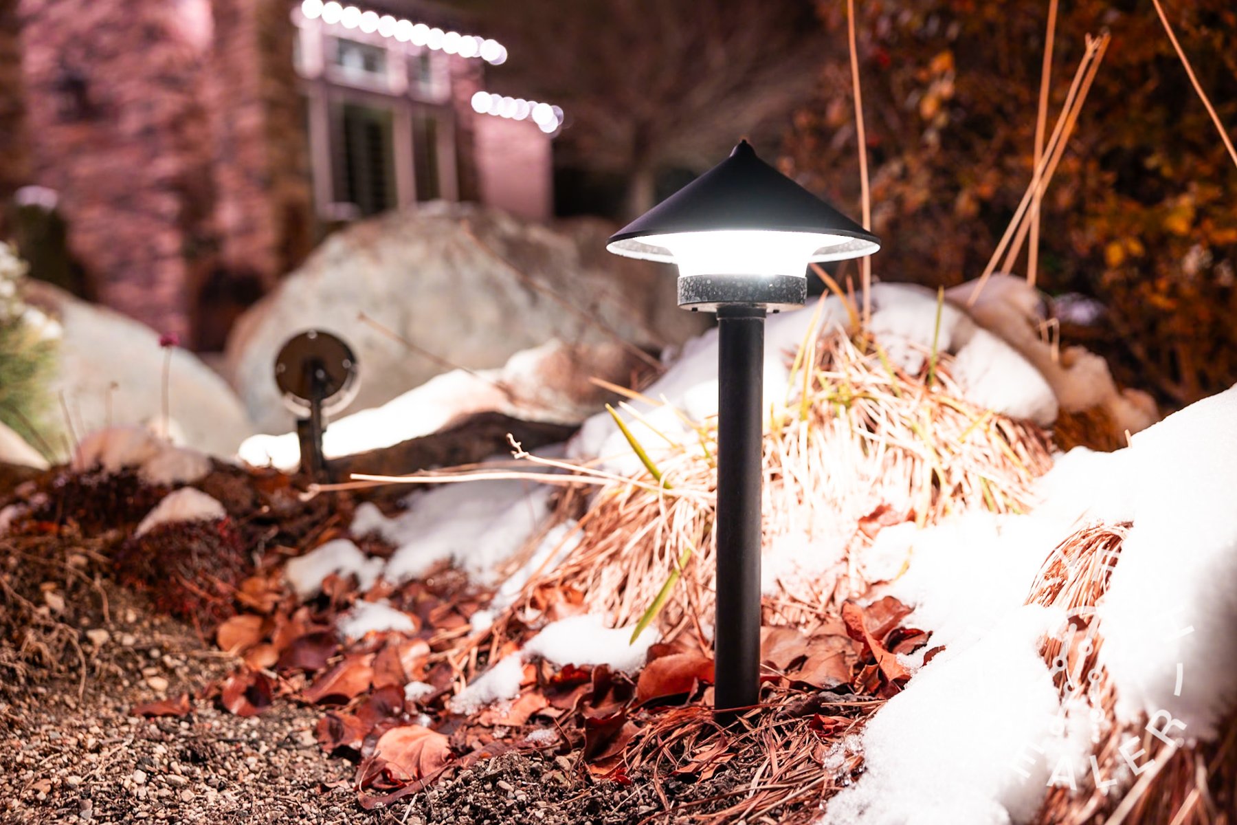 JellyFish pathway fixture illuminating stone and planting.