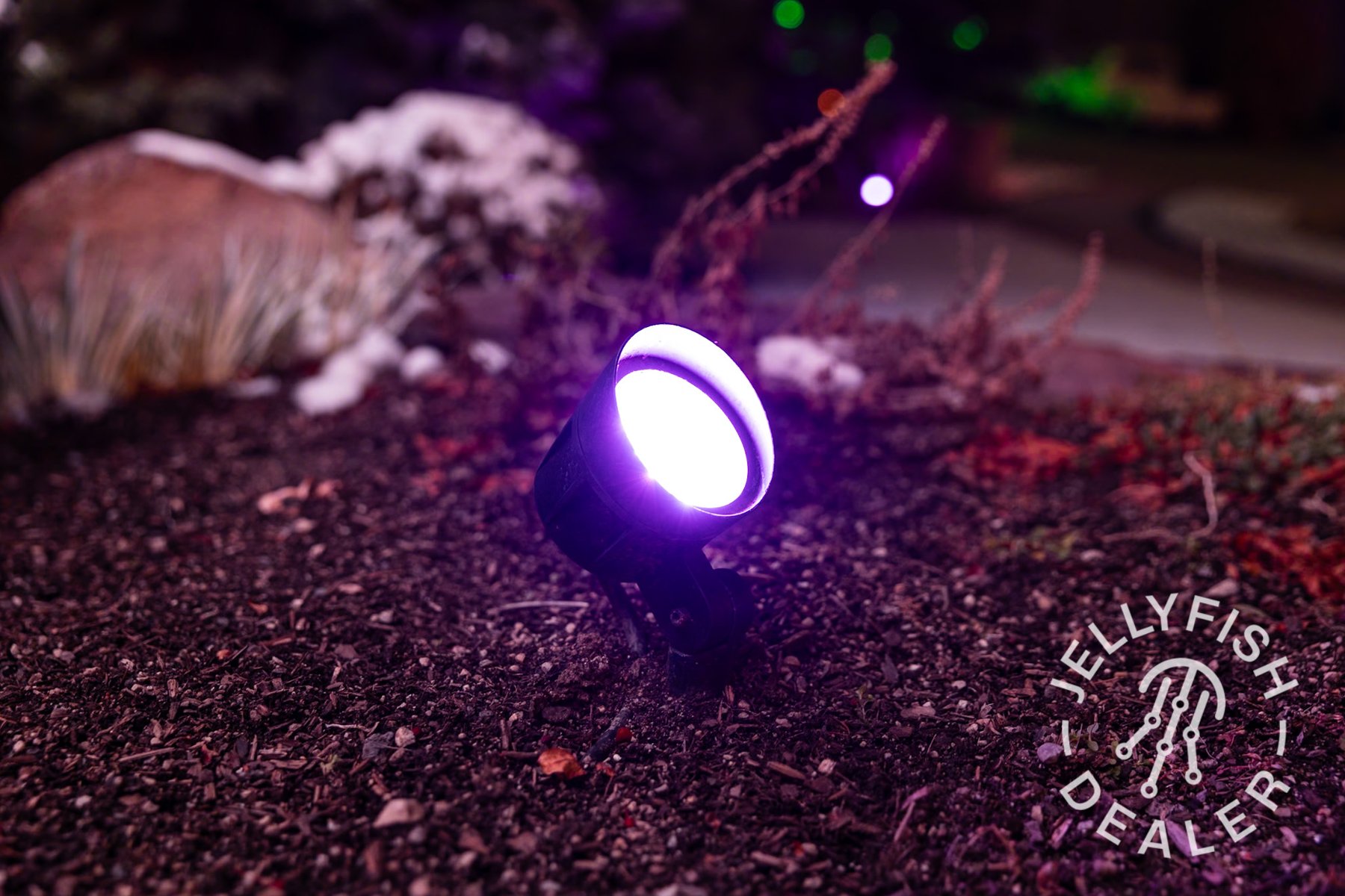 Adjustable JellyFish spotlight glowing purple in a garden bed.