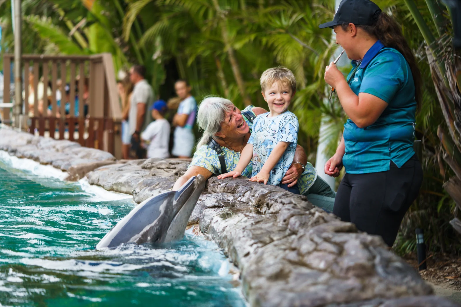 A young boy and a woman smile while looking at a dolphin that has popped its head out of the water near the edge of a pool, as a Coffs Coast Wildlife Sanctuary carer in a blue shirt and cap interacts with them, with other people blurred in the background.
