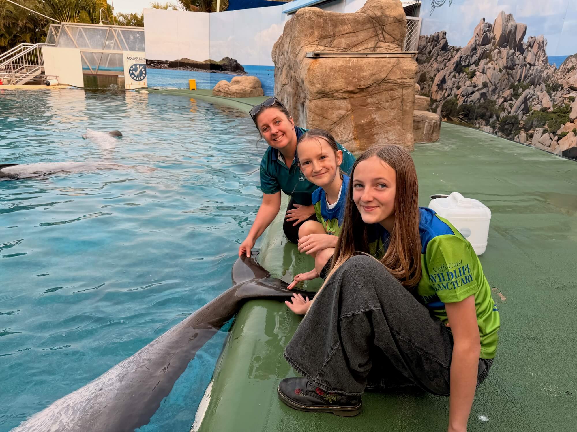 Three people, two children and one adult, crouch by a pool at Coffs Coast Wildlife Sanctuary gently touching a dolphin's fin in the water with a rock and ocean mural background.