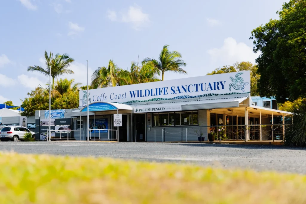 Entrance to Coffs Coast Wildlife Sanctuary in Coffs Harbour NSW with a large sign above the building, surrounded by palm trees and parked cars.