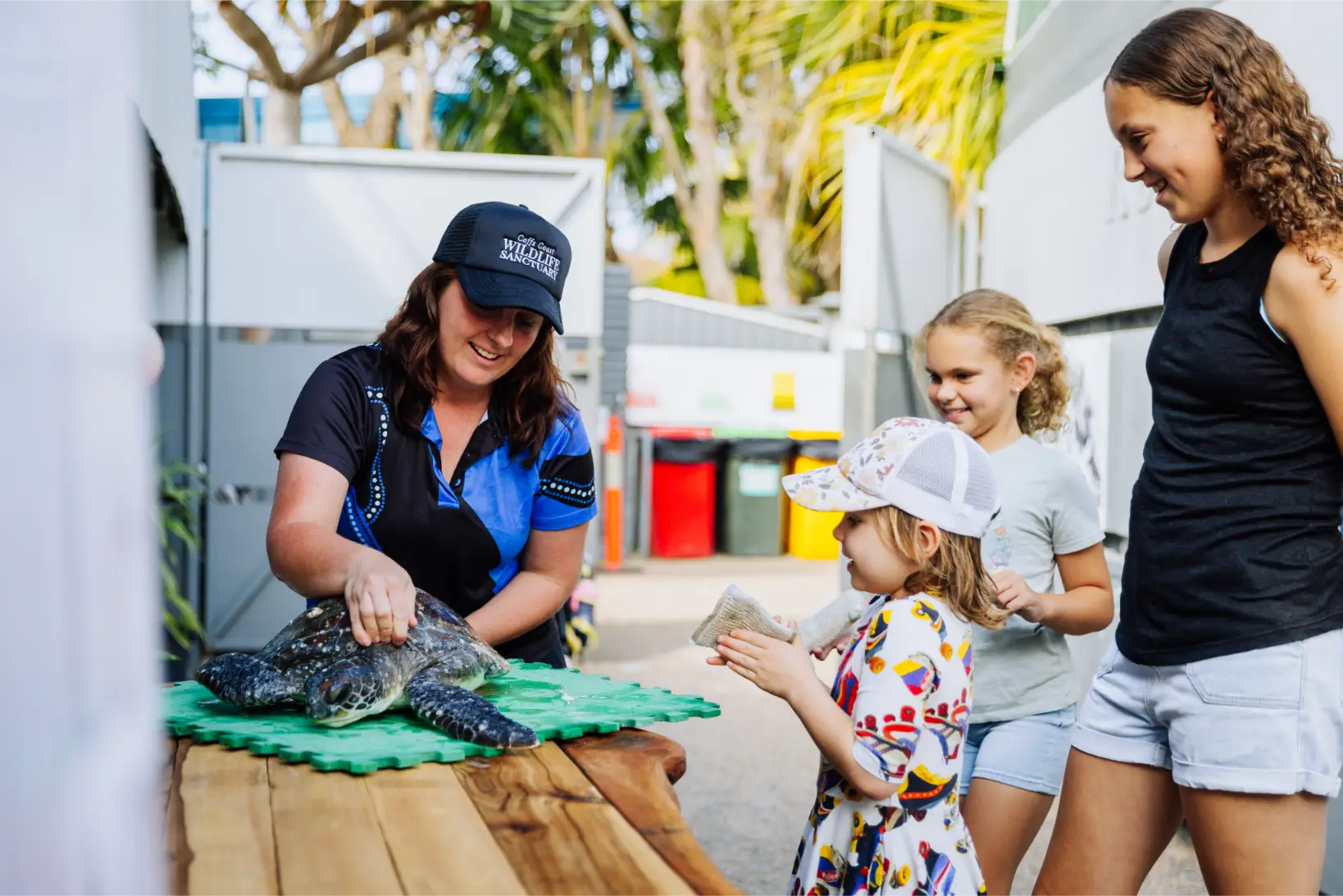 A Coffs Coast Wildlife Sanctuary trainer gently holding a sea turtle on a table while three smiling children watch, one holding a cloth, outside near palm trees.