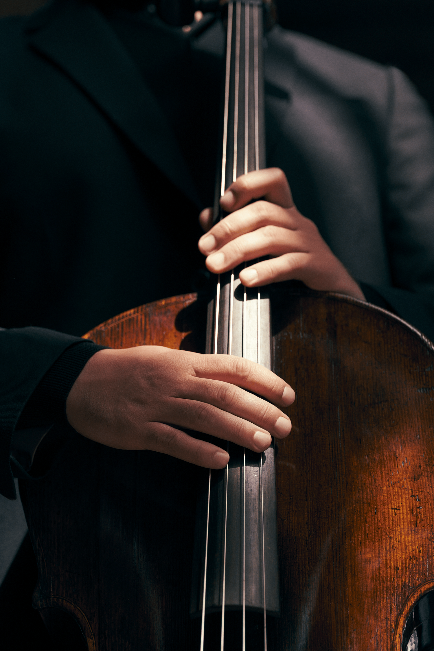 HAUSER, Classic II press photo 2