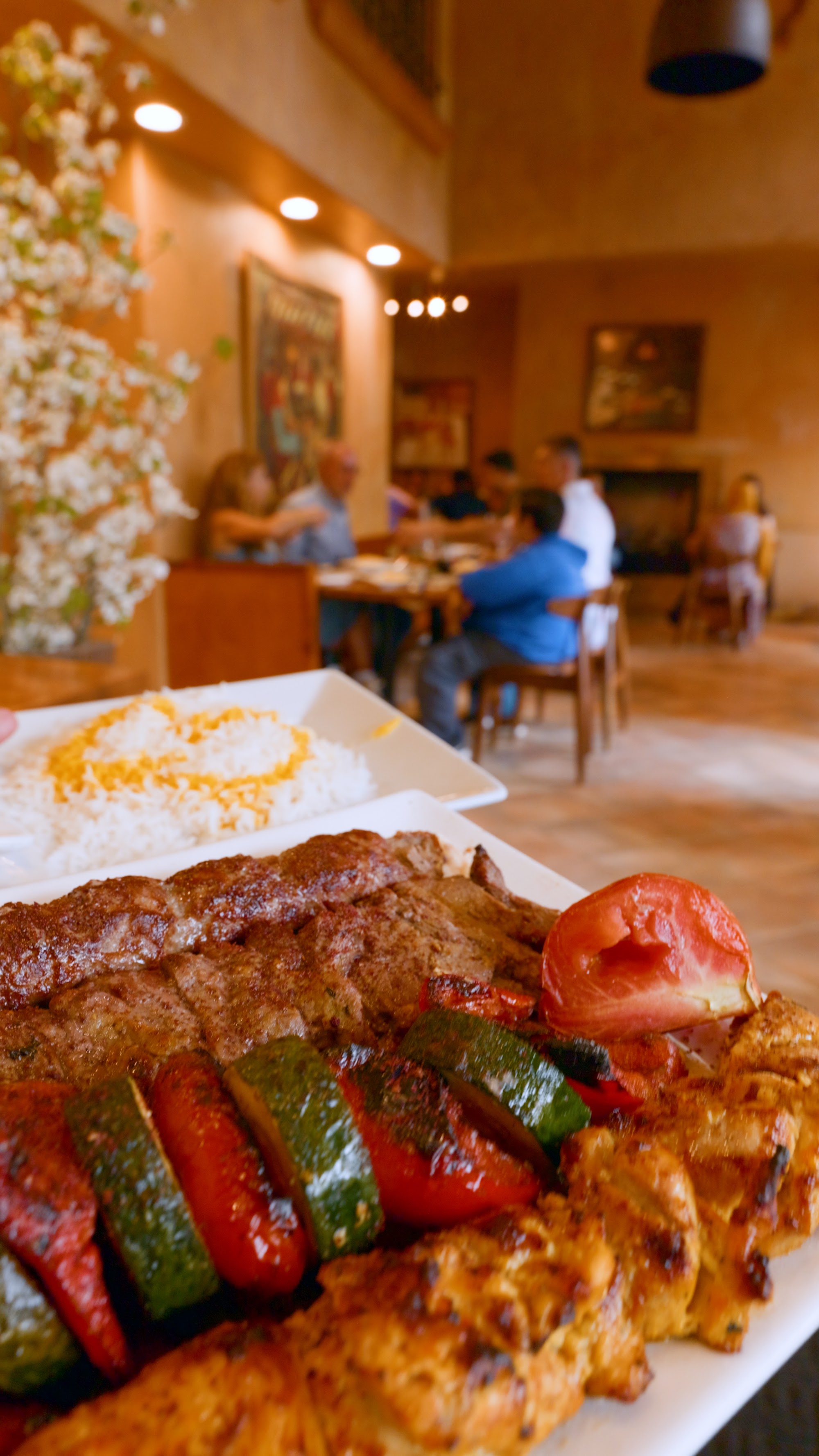 Lavash SF