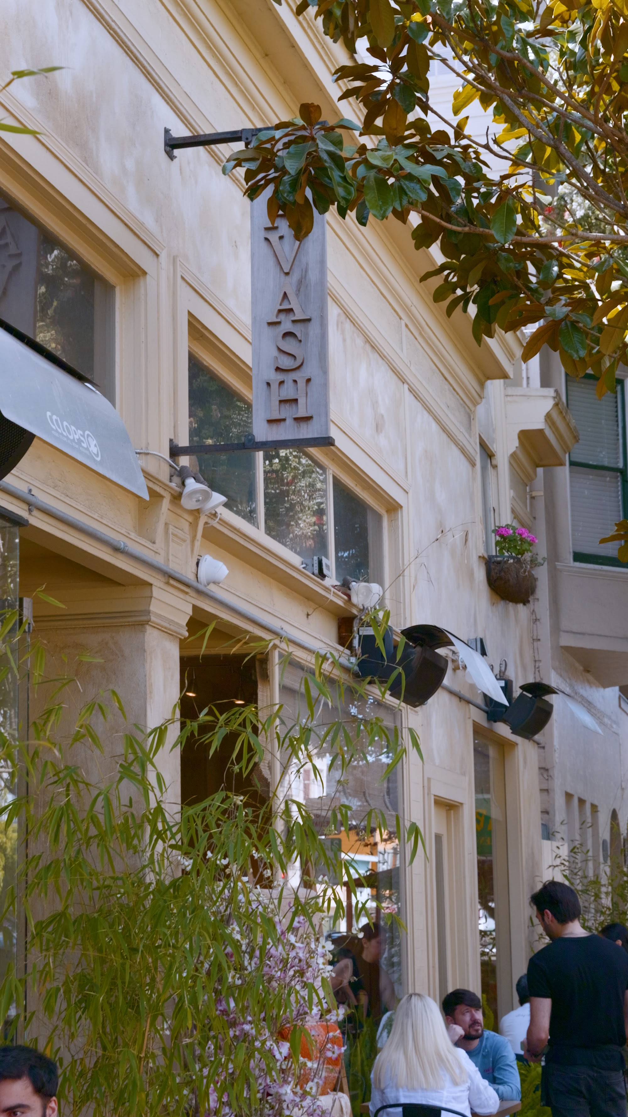 Lavash SF