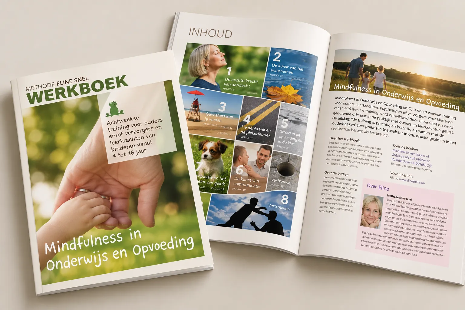 Two Attention Works! trainer's manuals