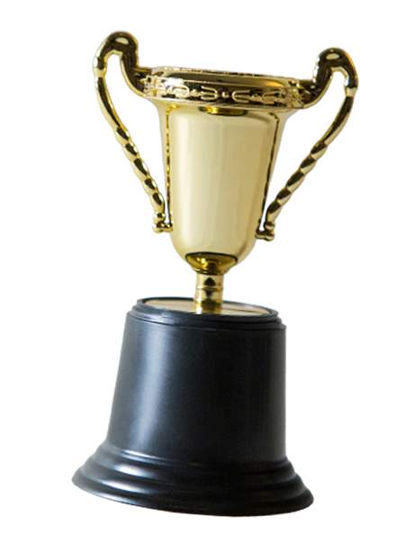 Golden trophy cup with two handles on a black pedestal base.