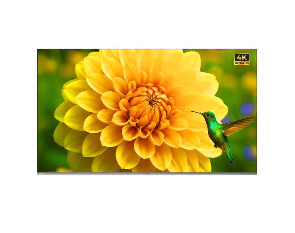 4K Ultra HD image of a dahlia and a hummingbird on a SABA TV
