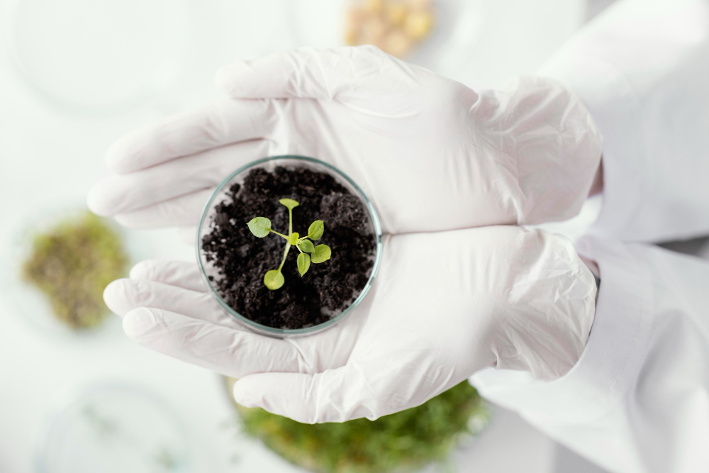 The Role of Beneficial Microorganisms in Healthy Crops