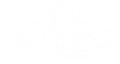 Calm Your Brain, Heal Your Pain