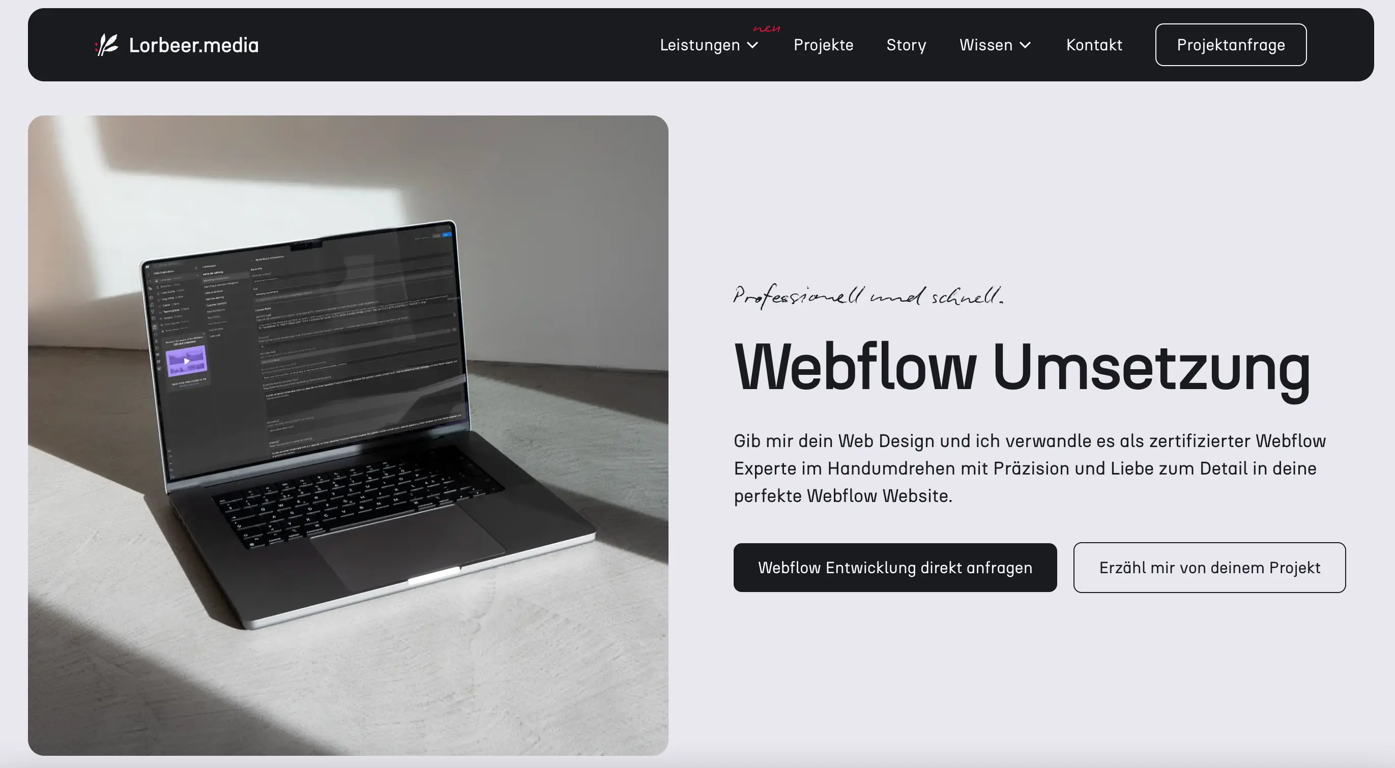 Webdesigner und Experte