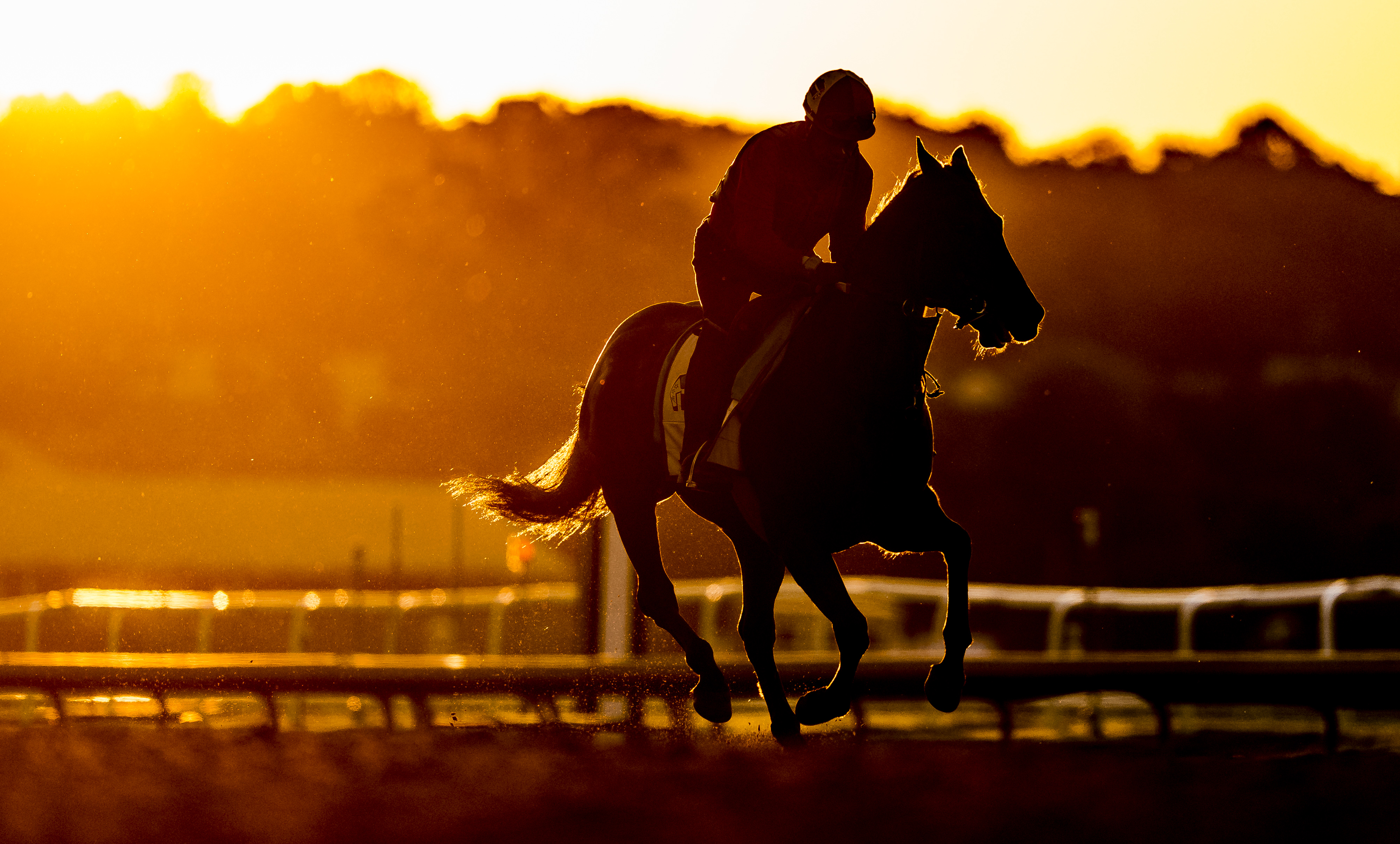 Horse and exercise rider silhouetted against golden sunrise light.