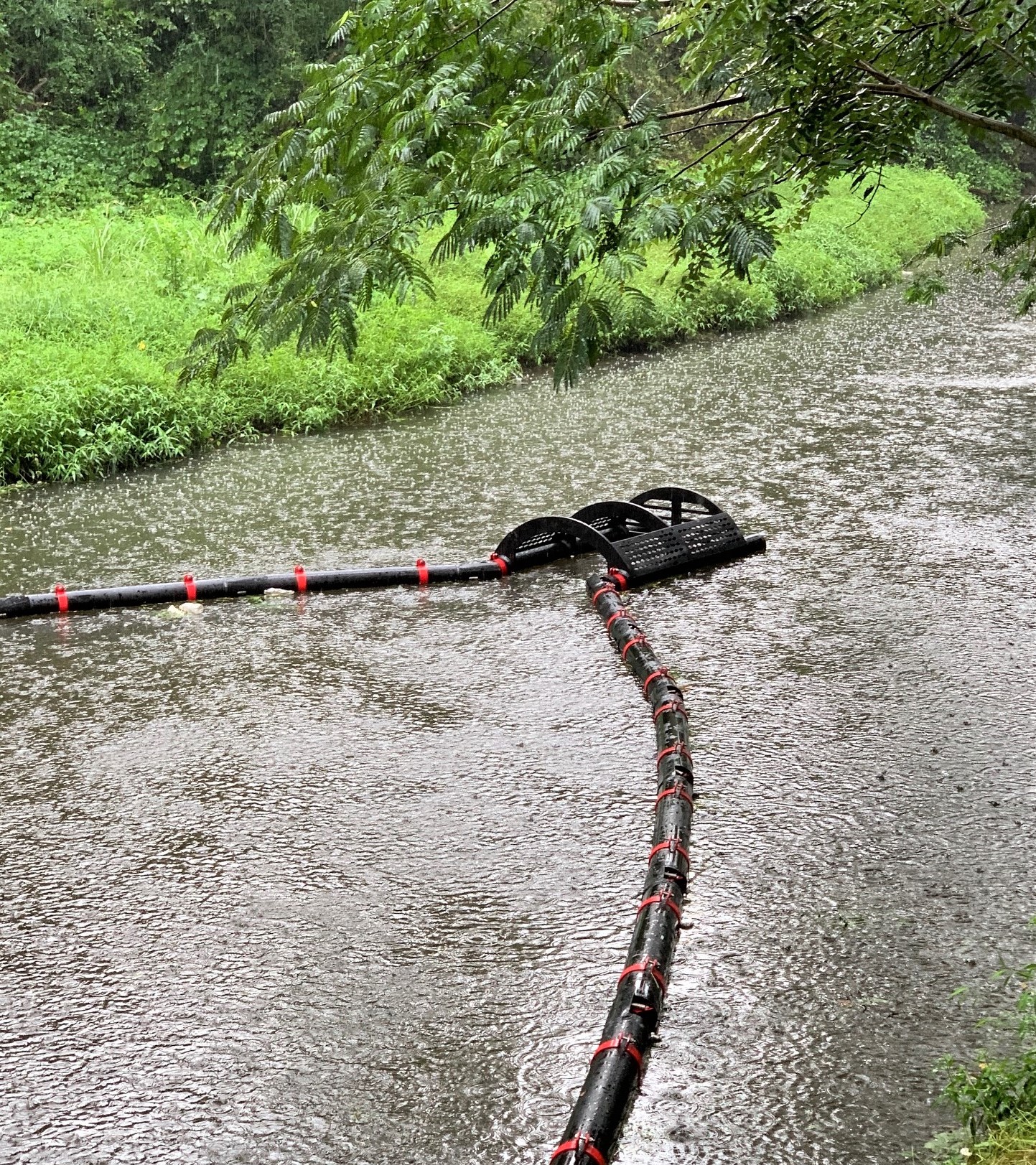 Bandalong Bandit in Ardmore Park, Atlanta, during rain. Rain increases debris collection, showcasing the Bandit's utility in various weather conditions.