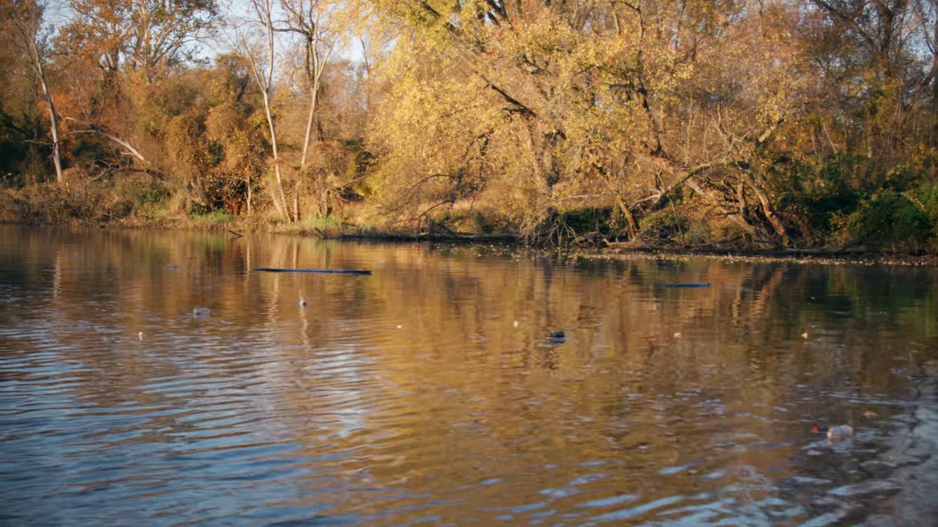 Efforts to Protect Oceans by Cleaning Washington's River