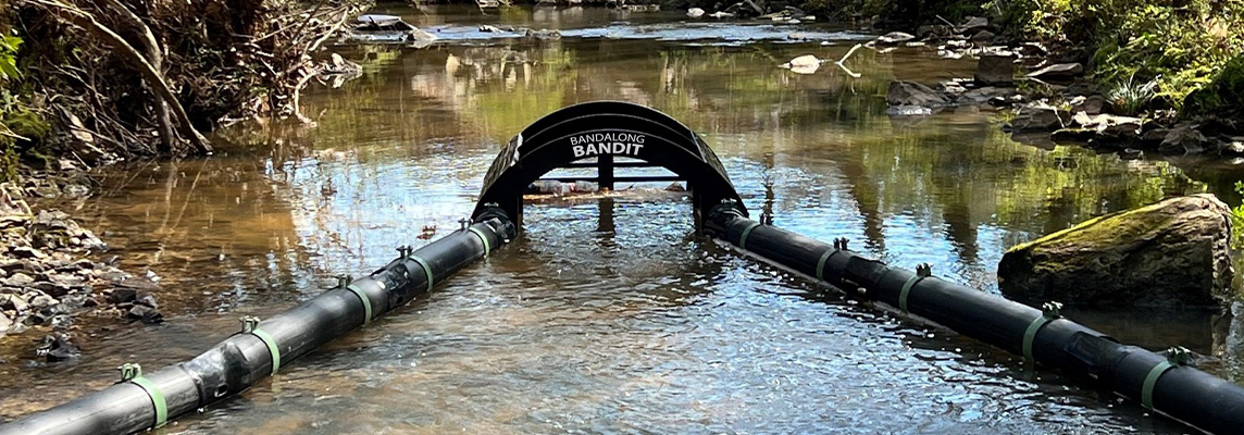 Bandalong Bandit in Dresden Park, Chamblee, Georgia, donated by a corporate sponsor.