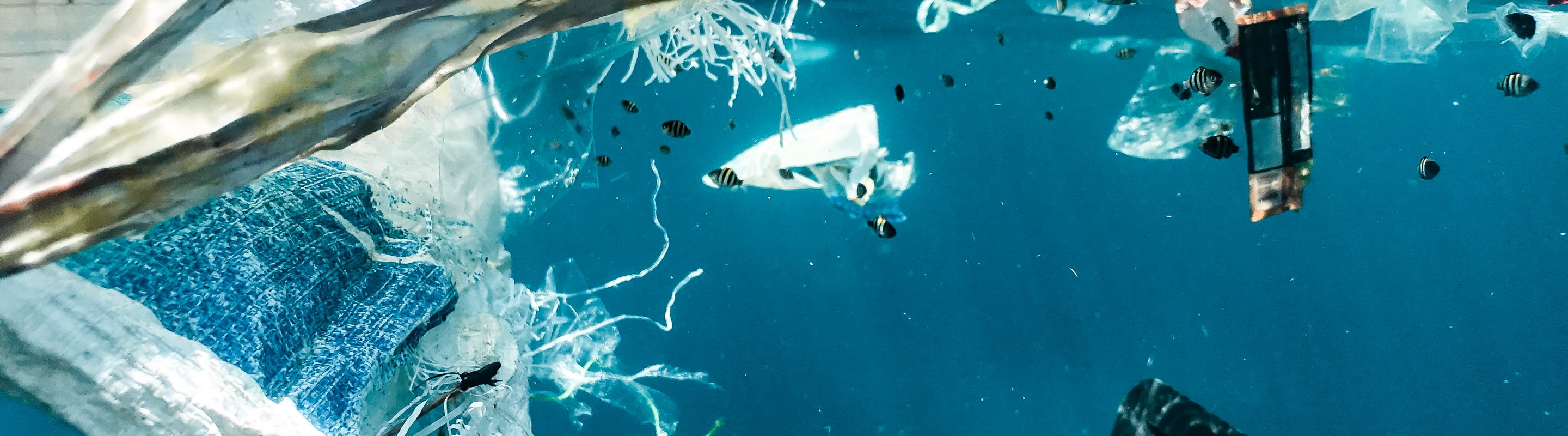 an Image of an ocean with trash