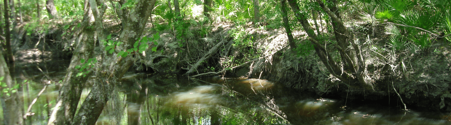 a picture of a river
