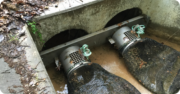 StormX on a double outfall