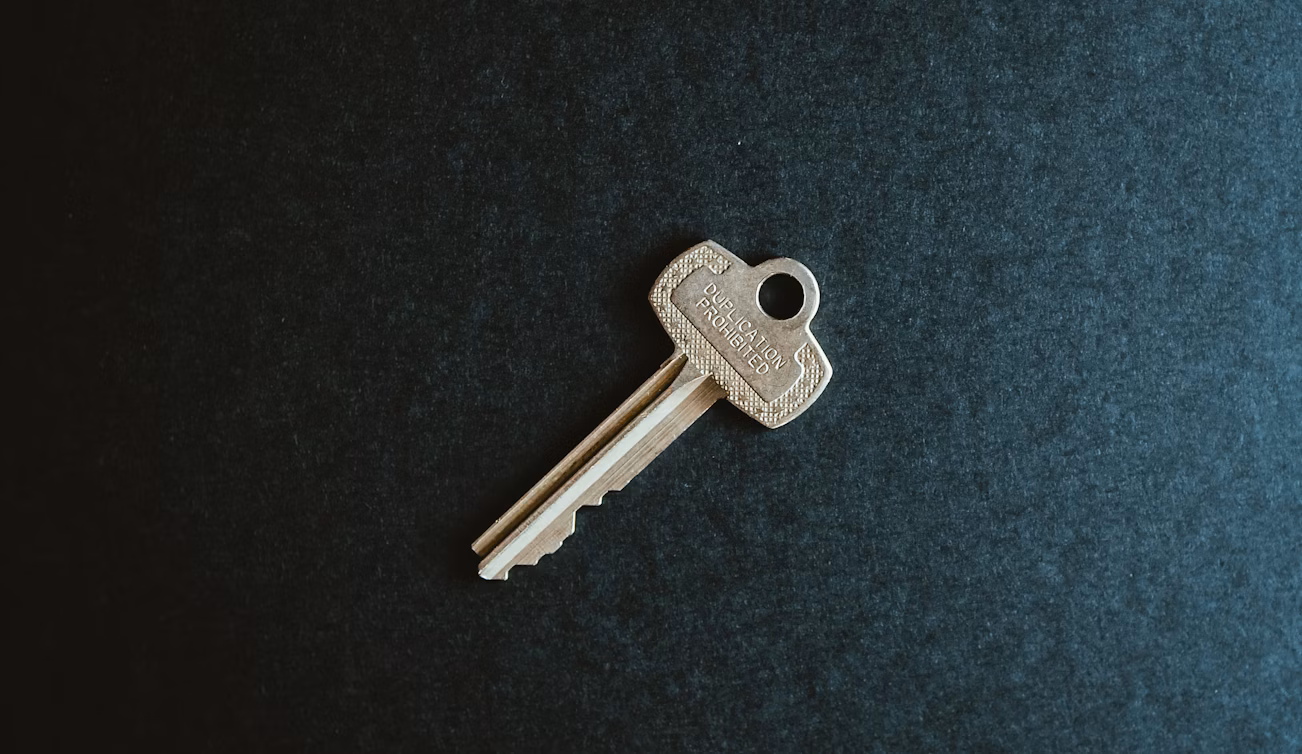 zoomed in photo of a key