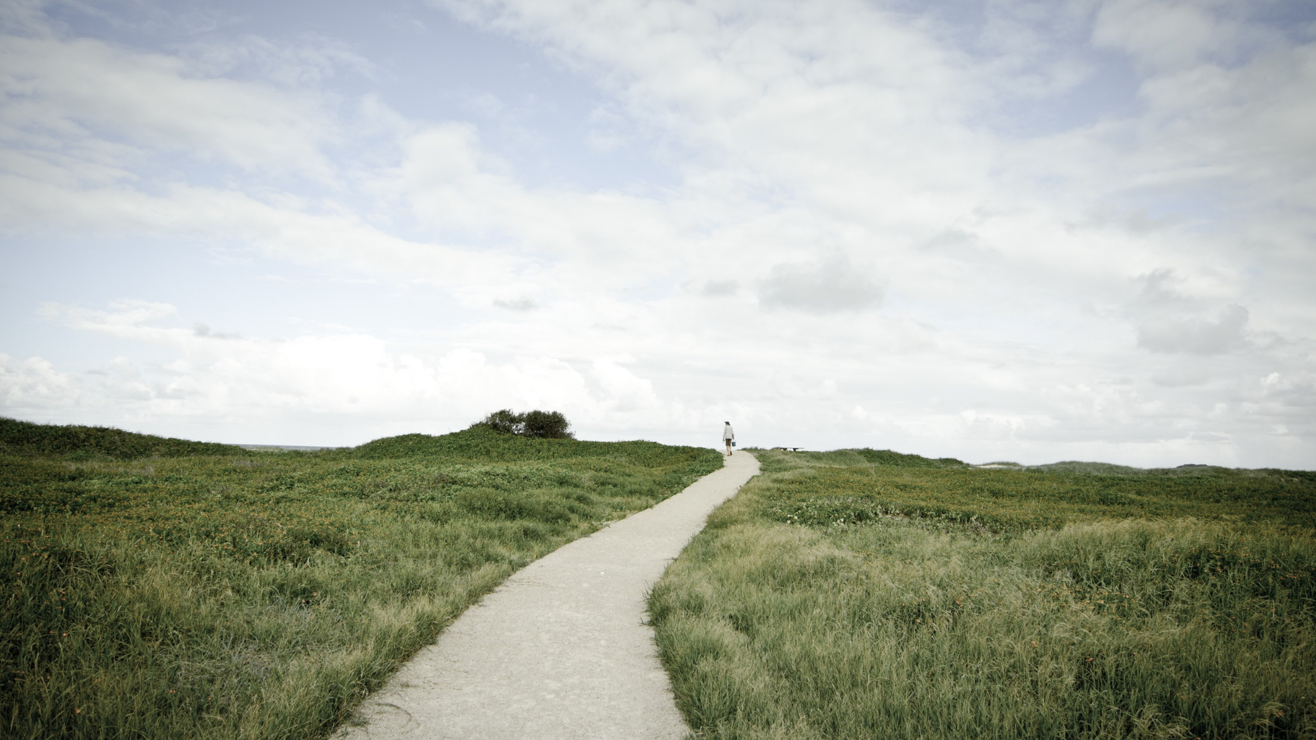 2024: Looking Back / Looking Forward